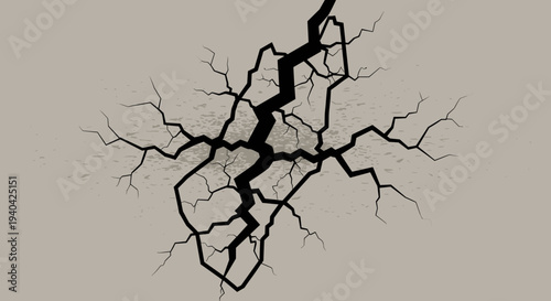 Cracked Earth Surface with Branches.