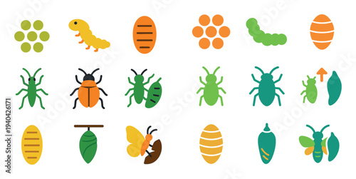 Insect icons with beetle caterpillar pupa colorful