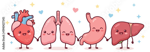 Cute Cartoon Heart, Lungs, Stomach, Liver, and Intestines Character Set