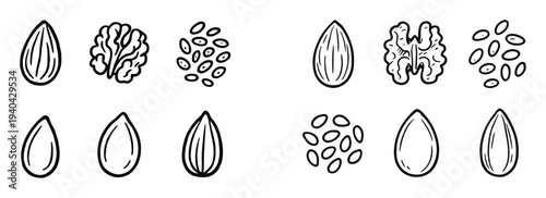 Food icons with almond walnut seed outline
