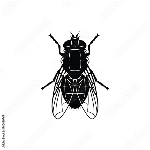 Housefly insect silhouette vector illustration on white background