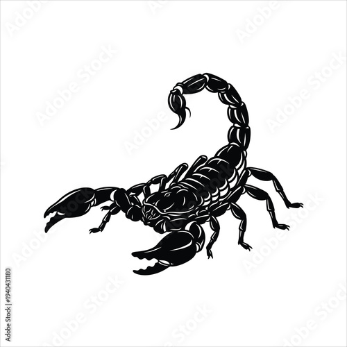 Scorpion black and white vector silhouette isolated on white background