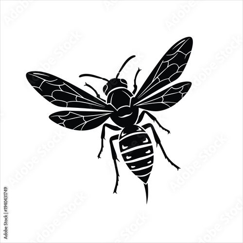 Stinging wasp hornet silhouette top view isolated nature graphic