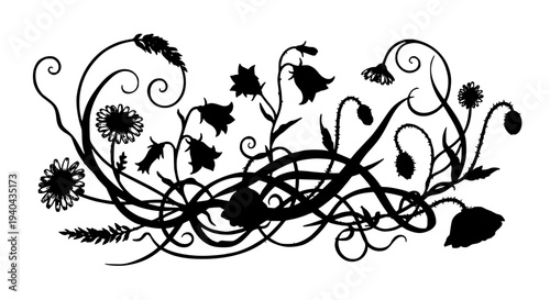 Vines decorative with flowers and leaves in black and white featuring floral, nature, illustration with design and