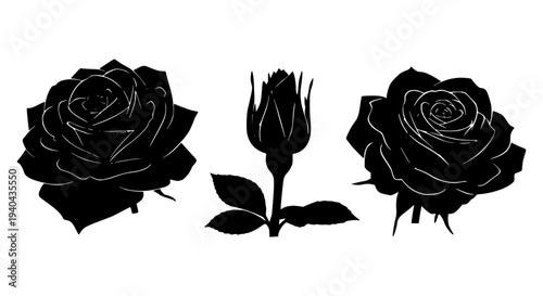 Roses set with blooming flowers and bud outline featuring rose, flower, silhouette with black and white elements for