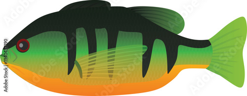 Green goldfish icon. vector illustration