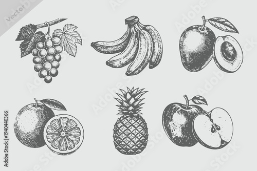 Berries and fruits drawing collection. Hand drawn berry and fruit sketch Mango, apple, banana, pineapple, grapes, orange. Vector illustration. Engraved style.