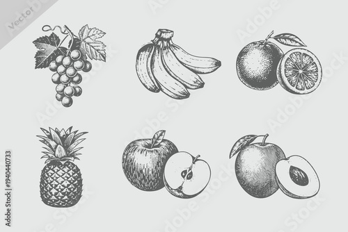 Berries and fruits drawing collection. Hand drawn berry and fruit sketch Mango, apple, banana, pineapple, grapes, orange. Vector illustration. Engraved style.