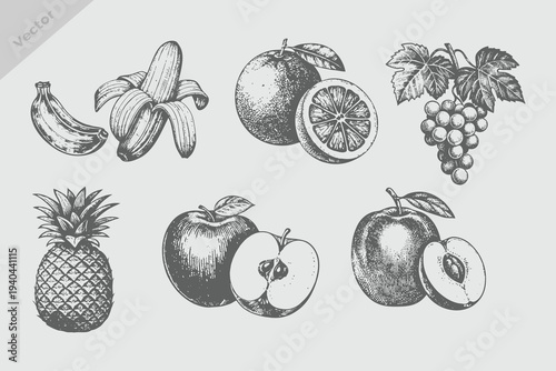 Hand drawn fruit Mango, apple, banana, pineapple, grapes, orange collection, vintage engraving style fruits and berries set, vector illustration