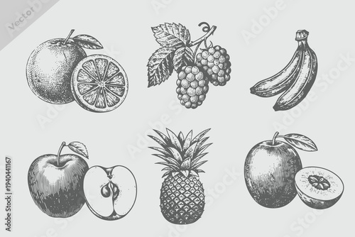 engraving style fruit Mango, apple, banana, pineapple, grapes, orange vector illustration. Vintage retro