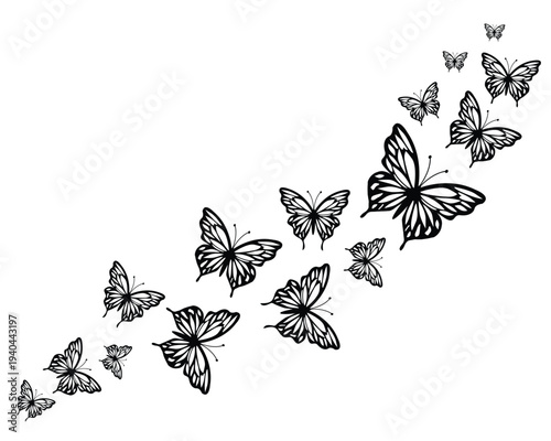 butterfly on a white flock of butterfly
