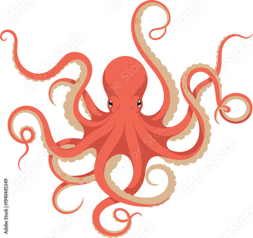 Vector illustration of a red octopus with long curling tentacles and suction cups isolated on white background for marine life and sea animal designs