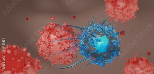 Cytotoxic T cells (blue) attack a cancer cell (red). Killer T-cell or B-cell concept. CAR T-Cell Therapy. White blood cells. Natural killer cell. Photo stock