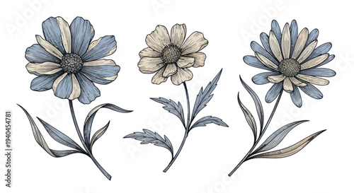 Hand Drawn Flowers with Blue Petals Illustration.