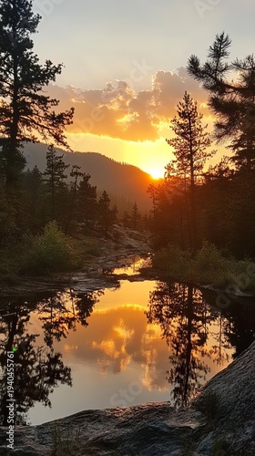 Golden sunset reflected in tranquil water, surrounded by pine trees