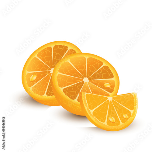 Orange Slices Vector Illustration Isolated Citrus Fruit Cross Section