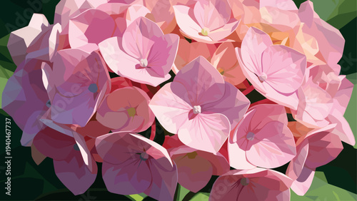Geometric polygonal pink hydrangea blooms against lush green foliage