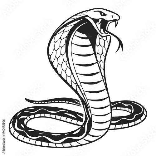 Fierce cobra snake standing tall with open mouth