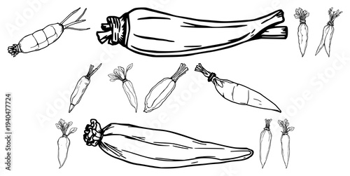 Hand-drawn wasabi root illustration in black line art, crisp stylistic dish garnish design on white background, perfect for Japanese cooking visuals