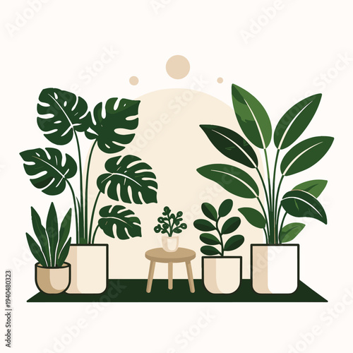 Indoor plants in decorative pots with a minimalist design