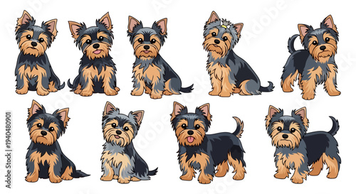 Collection of Adorable Yorkshire Terrier Puppies Poses.