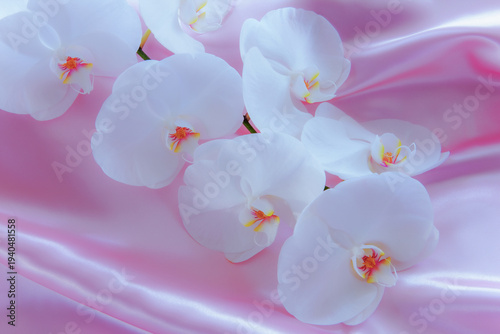 ピンクの布地に載った白い胡蝶蘭