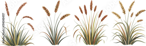 Realistic wheat plant collection vector illustration, natural grain ears with green grass leaves, agricultural crop botanical set isolated
