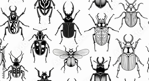 Collection of Various Beetle Illustrations.