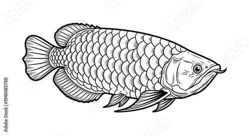 Detailed Black and White Fish Illustration.