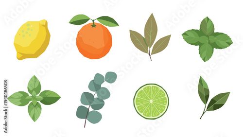 Colorful citrus and leaf set featuring flat design elements