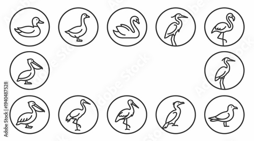 Collection of Simple Line Drawings of Various Bird Species within Circular Frames Displayed Together