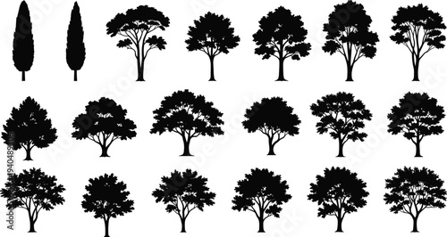 Tree silhouettes collection set, forest nature trees isolated black botanical landscape woodland plant icons vector illustration bundle