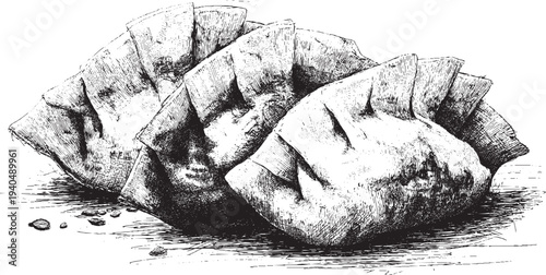 Japanese Gyoza dumplings illustration on a white background. This vector illustration can be used in any size you like for advertising, logos, and other work.