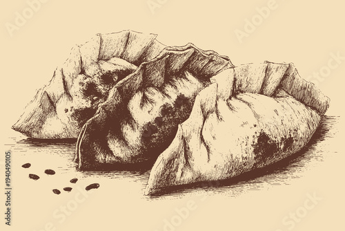 Japanese Gyoza dumplings illustration in a vintage style. This vector illustration can be used in any size you like for advertising, logos, and other work.