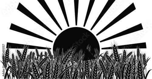 Black and white of wheat field at sunrise 1