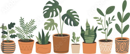 Houseplants in terracotta pots vector illustration.