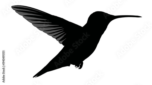 Elegant Black Hummingbird Silhouette Flying Isolated. Graceful Avian Design Element or Icon for Nature, Wildlife, and Logo Concepts