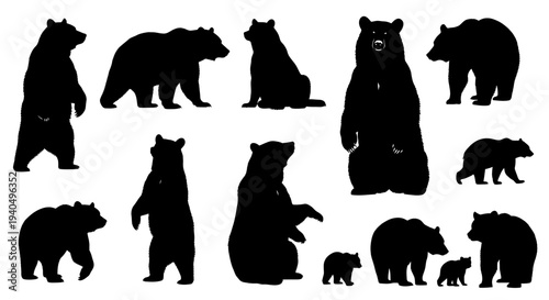 A captivating collection of bear silhouettes, featuring powerful adults and playful cubs in a variety of natural poses. Ideal vector elements for wilderness and nature themes