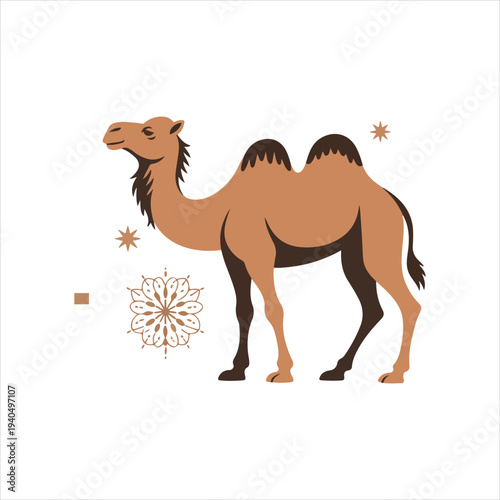 Dromedary Camel Standing with Decorative Elements Desert Wildlife Vector Art