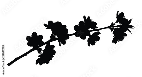 Delicate cherry blossom branch with detailed floral shapes silhouette