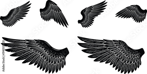 Detailed black wings collection with flying bird feather wings spread tattoo style illustration isolated on white background