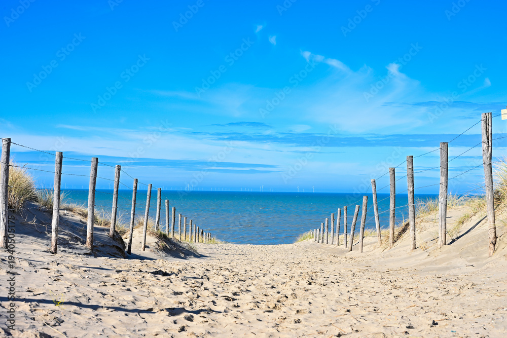 Fototapeta premium Path Through Sand Dunes with Wooden Fence Posts Leading to the Beach - Scenic Coastal Landscape at Zandvoort Under a Bright Blue Sky, North Holland, Netherlands