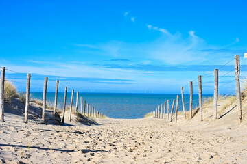 Foto auf Acrylglas Nordsee Path Through Sand Dunes with Wooden Fence Posts Leading to the Beach - Scenic Coastal Landscape at Zandvoort Under a Bright Blue Sky, North Holland, Netherlands  © Rogier van Bunnik