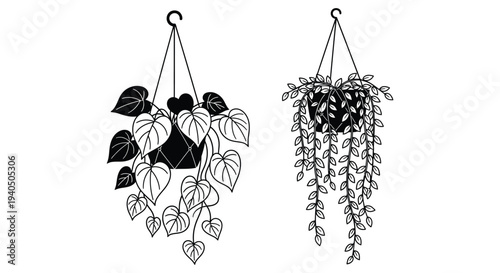 Two hanging potted plants with detailed foliage are presented in a striking black outline silhouette high quality professional modern elegant stylish
