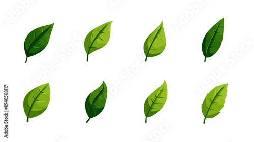 Vibrant green leaves vector illustration set, isolated on white. Organic plant foliage collection, natural eco design elements for growth.