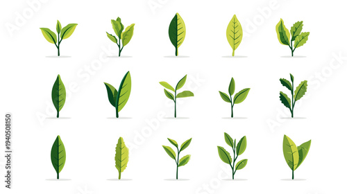 Set of various green leaves illustrations. Vector collection of plant foliage for natural, organic, eco-friendly, and healthy lifestyle concepts.