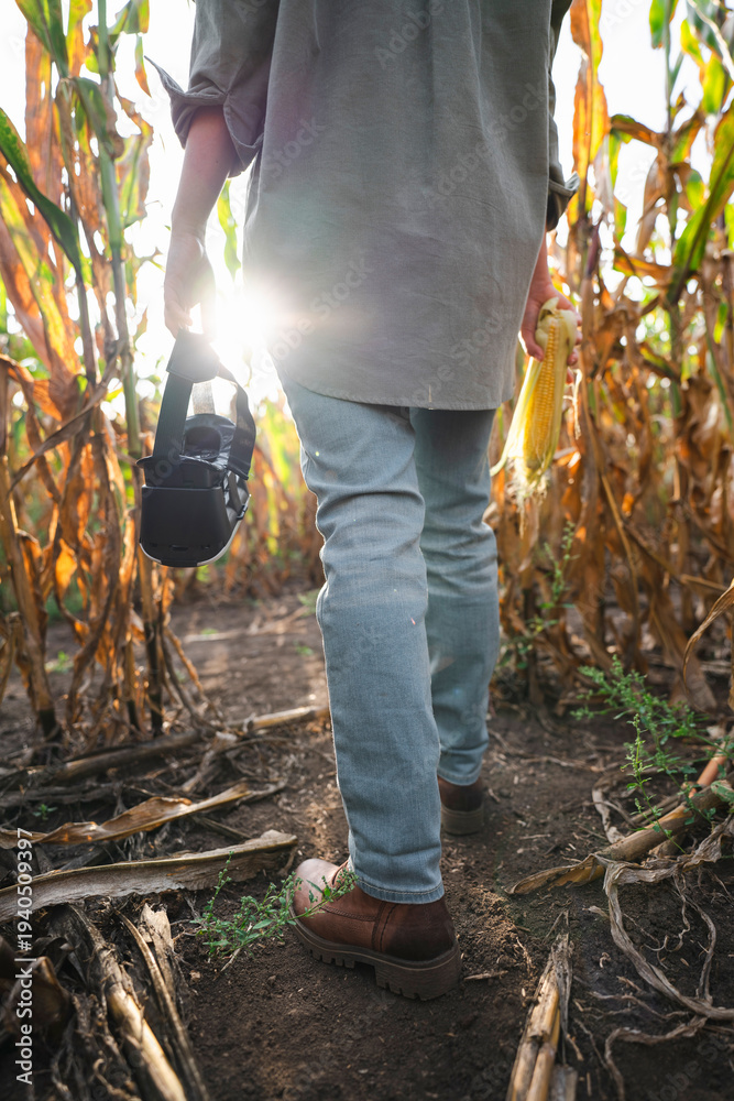 Obraz premium Farmer with Virtual Reality glasses on the corn field