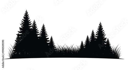 Dark forest landscape with dense trees and ground cover silhouette