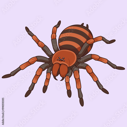 Mexican Red Knee Tarantula Spider in Detailed Flat Design Vector Illustration