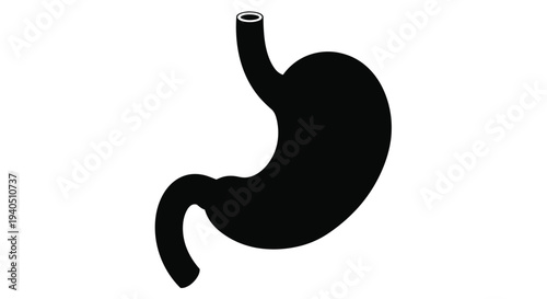 Anatomical illustration of a human stomach in stark black silhouette